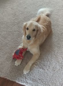 Lu Lu Belle